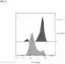 Fig. 04 - T cells with reduced surface fucosylation and methods of making and using the same