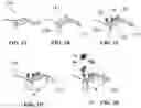 Fig. 02 - METHODS FOR INCREASING THE MOLECULAR SPECIFICITY OF A NANOSENSOR