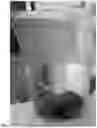 Fig. 02 - METHOD OF PRODUCING DECOLORIZED BEET PRODUCTS AND COMPOSITIONS PRODUCED THEREFROM
