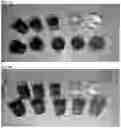 Fig. 03 - METHOD OF PRODUCING DECOLORIZED BEET PRODUCTS AND COMPOSITIONS PRODUCED THEREFROM