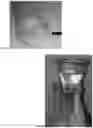 Fig. 05 - METHOD OF PRODUCING DECOLORIZED BEET PRODUCTS AND COMPOSITIONS PRODUCED THEREFROM