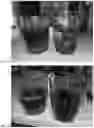 Fig. 08 - METHOD OF PRODUCING DECOLORIZED BEET PRODUCTS AND COMPOSITIONS PRODUCED THEREFROM