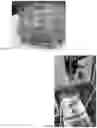 Fig. 09 - METHOD OF PRODUCING DECOLORIZED BEET PRODUCTS AND COMPOSITIONS PRODUCED THEREFROM