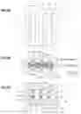 Fig. 10 - Distribution member and method of manufacturing the same