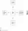 Fig. 04 - Content-based optimization and pre-fetching mechanism for security analysis on a network device