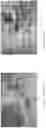 Fig. 02 - AUTOMATIC HANDLING AND SORTING OF INSECTS FOR GROWTH AND RELEASE