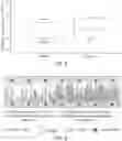 Fig. 08 - High subzero cryopreservation