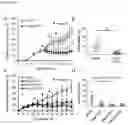 Fig. 08 - Engineered anthrax protective antigen proteins for cancer therapy