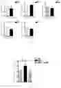 Fig. 02 - USE OF MANGANESE SUPEROXIDE DISMUTASE WITH HIGH STABILITY