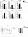 Fig. 06 - USE OF MANGANESE SUPEROXIDE DISMUTASE WITH HIGH STABILITY