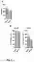 Fig. 06 - Compositions and methods for preventing and treating graft versus host disease