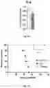 Fig. 08 - Compositions and methods for preventing and treating graft versus host disease