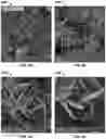 Fig. 05 - Semiconductor photocatalyst and preparation method thereof