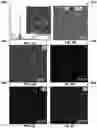 Fig. 06 - Semiconductor photocatalyst and preparation method thereof