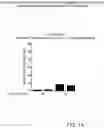 Fig. 02 - Methods and compositions for preparing nucleic acids that preserve spatial-proximal contiguity information