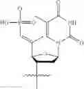Fig. 320 - Oligonucleotide compositions and methods of use thereof