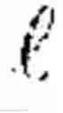 Fig. 02 - USE NUOS TECHNOLOGY TO ACQUIRE OPTIMIZED 2D DATA