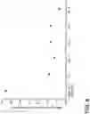 Fig. 09 - Inorganic oxide articles with thin, durable anti-reflective structures