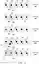 Fig. 04 - Gaming devices and methods for enhancing game indicia in random increments