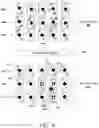 Fig. 05 - Gaming devices and methods for enhancing game indicia in random increments