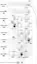 Fig. 07 - Gaming devices and methods for enhancing game indicia in random increments
