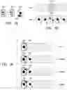 Fig. 10 - Gaming devices and methods for enhancing game indicia in random increments