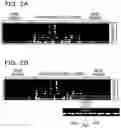 Fig. 03 - NON-TRANSITORY COMPUTER-READABLE STORAGE MEDIUM FOR STORING NOISE SUPPRESSION PROGRAM, NOISE SUPPRESSION METHOD, AND NOISE SUPPRESSION APPARATUS