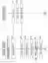 Fig. 07 - SURGERY SYSTEM, CONTROL METHOD, SURGICAL APPARATUS, AND PROGRAM