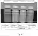 Fig. 02 - LIQUID NUTRITIONAL COMPOSITIONS INCLUDING GREEN TEA EXTRACT AND IRON