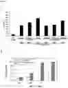 Fig. 02 - Pharmaceutical composition comprising particles comprising a complex of a double-stranded polyribonucleotide and a polyalkyleneimine