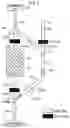 Fig. 08 - Biological component collection system and circuit internal pressure acquisition method