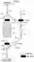 Fig. 10 - Biological component collection system and circuit internal pressure acquisition method