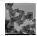 Fig. 06 - SUPPORT-NANOPARTICLE COMPOSITE, CATALYST CONTAINING SAME, AND FABRICATION METHOD THEREFOR