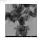 Fig. 08 - SUPPORT-NANOPARTICLE COMPOSITE, CATALYST CONTAINING SAME, AND FABRICATION METHOD THEREFOR