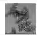 Fig. 09 - SUPPORT-NANOPARTICLE COMPOSITE, CATALYST CONTAINING SAME, AND FABRICATION METHOD THEREFOR