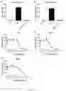 Fig. 05 - vNAR antibody which binds VEGF for use in dogs or cats