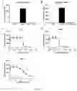Fig. 07 - vNAR antibody which binds VEGF for use in dogs or cats