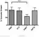Fig. 08 - vNAR antibody which binds VEGF for use in dogs or cats