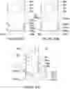 Fig. 197 - VARIABLE OVERLAPPING FRAMING MEMBER CONSTRUCTION