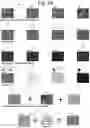 Fig. 03 - PSEUDO-RANDOM STEGANOGRAPHIC CAMOUFLAGE