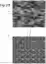 Fig. 06 - PSEUDO-RANDOM STEGANOGRAPHIC CAMOUFLAGE