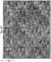 Fig. 14 - PSEUDO-RANDOM STEGANOGRAPHIC CAMOUFLAGE