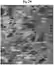 Fig. 15 - PSEUDO-RANDOM STEGANOGRAPHIC CAMOUFLAGE