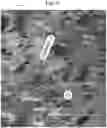 Fig. 19 - PSEUDO-RANDOM STEGANOGRAPHIC CAMOUFLAGE