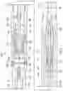 Fig. 02 - Hydraulic time delay actuated by the energetic output of a perforating gun