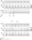 Fig. 05 - Calibration of writer offset using media dimensional stability