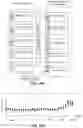 Fig. 17 - Calibration of writer offset using media dimensional stability