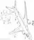 Fig. 03 - Differential capacitive probe for measuring contact resistance