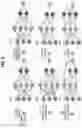 Fig. 07 - DEVICE AND METHOD FOR TRAINING NEURAL NETWORK