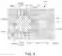 Fig. 03 - Biological information detecting apparatus
